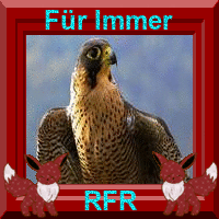 Nachtfalke